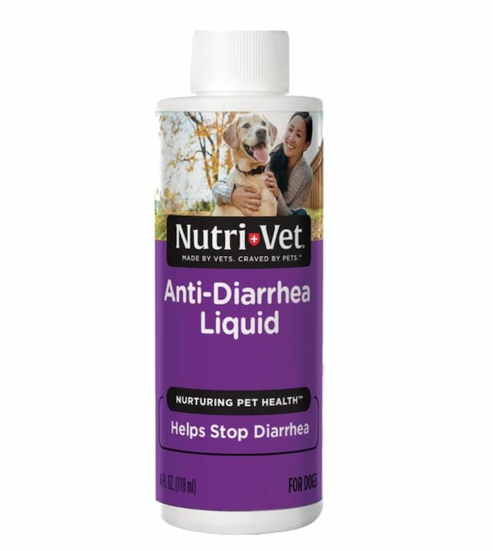 anti diarrheal for dogs